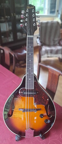 Ibanez Mandolin
