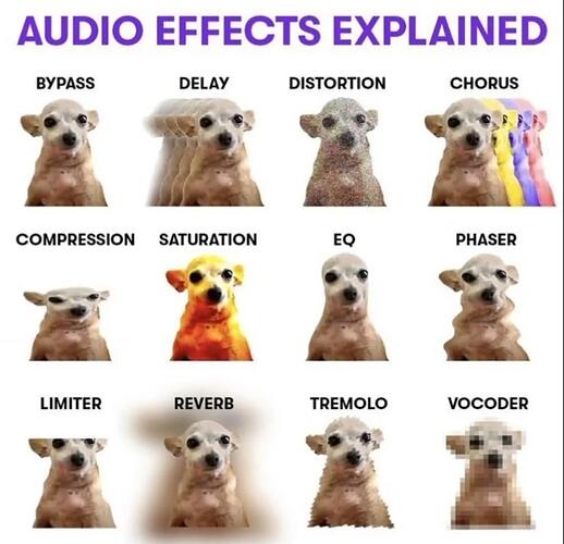 Audio FX Explained by a Chihuahua