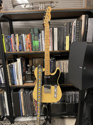 Fender Baja Telecaster D'Andrea Ace Rooftop Lennon Strap